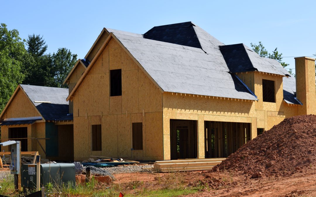 America’s HomeBuilders:  A Brief Overview